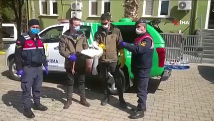 Jandarmanın bulduğu yaralı leylek emin ellerde