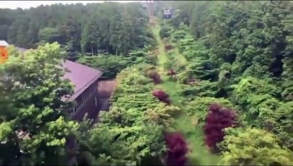 من خالص إيمان المؤمن التسليم بالقضاء والقدر