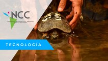 Zoológico Nacional de Nicaragua libera a más de 83 animales silvestres