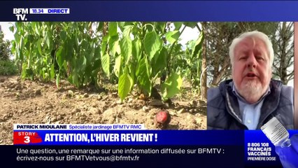 Story 6 : Attention, l'hiver revient ! - 02/04