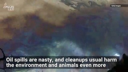 Could This Be the Future of Oil Spill Cleanup?