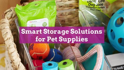 Smart Storage Solutions for Pet Supplies