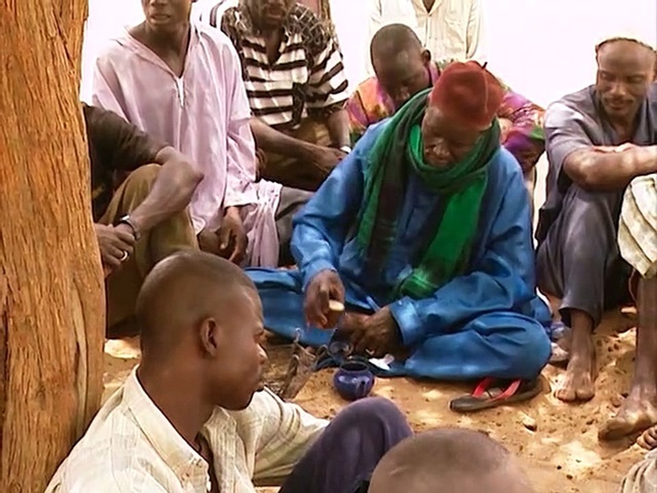 LES_CHEVAUX_SAUVAGE_DU_BURKINA_FASO_43.mp4(1)