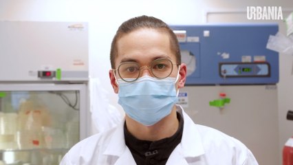 Du CBD sans cannabis | Reportage