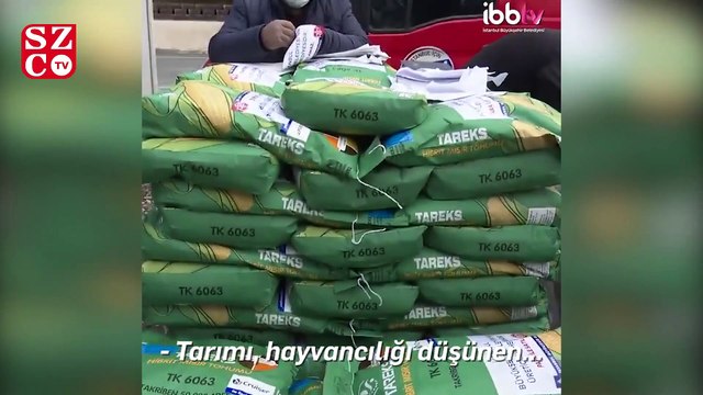 İBB ilk kez çiftçilere yem üretimi için tohum desteği veriyor.