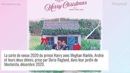 Le prince Harry de sortie à Santa Barbara : rare apparition à la plage, en bonne compagnie !
