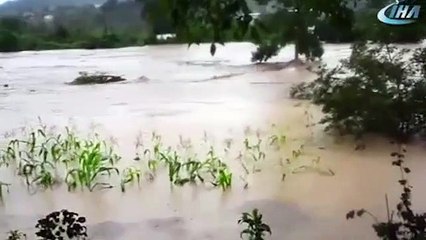 Download Video: Sel felaketi Ordu'yu vurdu! Köprü yıkıldı, Karadeniz sahil yolu trafiğe kapandı