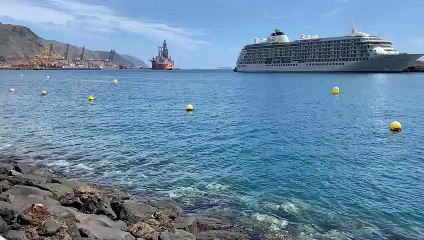 "Ay, qué chachi": un delfín entra en el Puerto de Santa Cruz