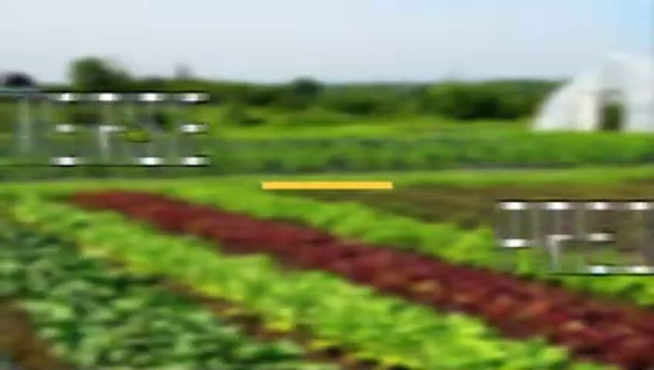 Facts That Prove We Have No Idea How Food Grows