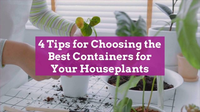 4 Tips for Choosing the Best Containers for Your Houseplants