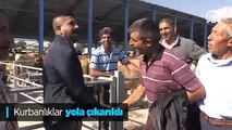 Kurbanlıklar yola çıkarıldı