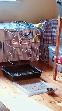 good morning ☀️ please follow and support my Chennal