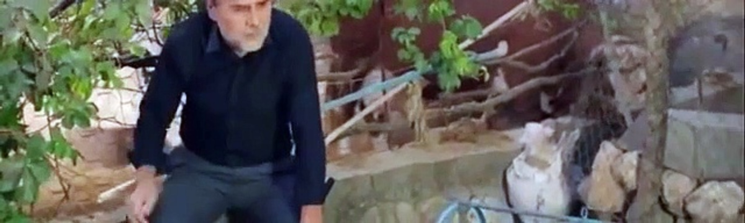 Hercai Capitulo 262 Completo Hercai Capitulo 262 Completo Hercai Capitulo 262 Completo