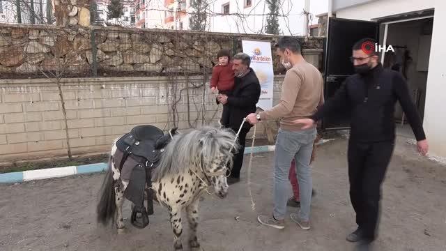 Son dakika haberi | Otizmli çocuklar duyu odaları ve atla terapiyle hayata hazırlanıyor