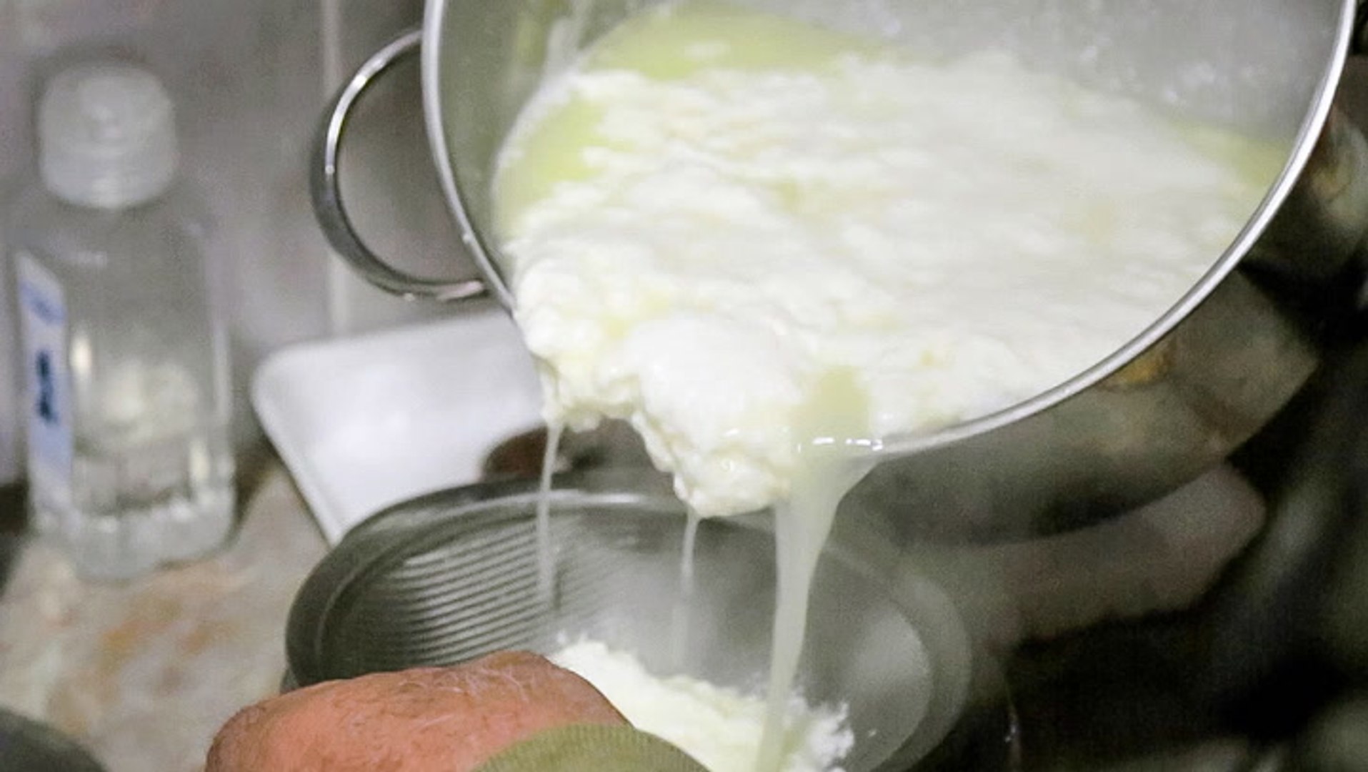 "Why pule donkey cheese is the most expensive cheese in the world" 헤럴드경제