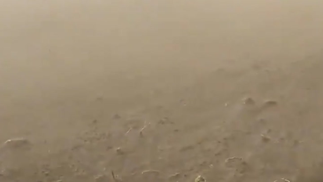Strong winds beat down crops in Alberta