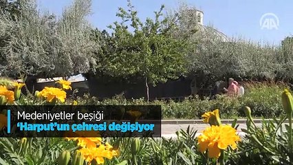 Tarihi Artuklu Hamamı yeni yerine doğru yola çıktı