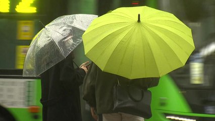 [날씨] 주말 전국 많은 비, 해안가 강풍...한낮 서늘 / YTN