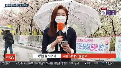 벚꽃과 거리두기…비 내리고 통제돼 한산한 윤중로