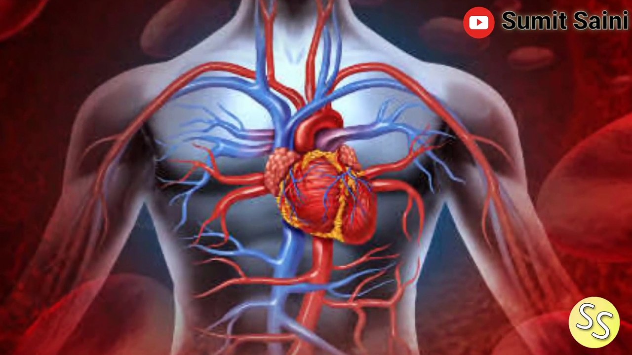 अंग क्यों सुन्न होते है || Why are the organs numb? || Sumit Saini IQ