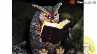 उल्लू की रोचक जानकारी | Interesting information about owls | Sumit Saini IQ