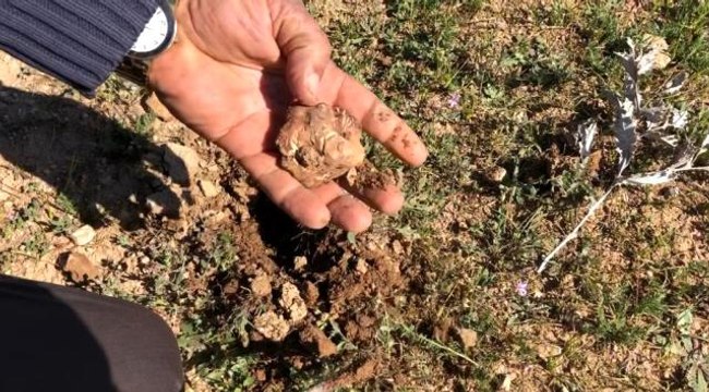 Şanlıurfa'nın vazgeçilmez lezzeti keme kebabı; yılda sadece 2 ay tüketilebiliyor