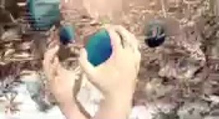 GÊNESIS  Capítulo 61 Parte Única HDTV Completo