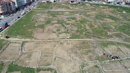 İSTANBUL'DA SANAYİ SİTESİ VE BİNALAR ARASINDA 'KÖY HAYATI'