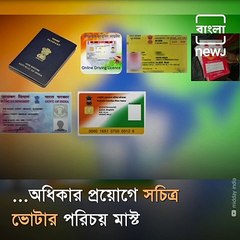 How To Vote Without Voter ID, Know The Details