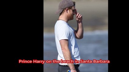 New Pictures of Harry on the beach with dog pula but without Meghan markle