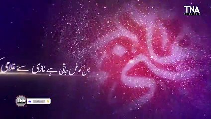 NEW MOLA ABBAS MUNAJAT 2021 -- ABBAS ABBAS -- MUHAMMAD ALI RAZA -- TNA RECORDS