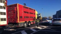 Friuli VG - Trasporto animali vivi, controlli della Polizia (02.04.21)