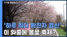 '하루 최다 확진자 경신' 세종시에서 봄꽃 축제 / YTN