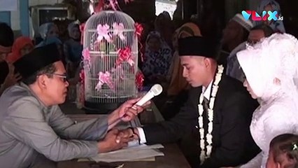 Pasangan Ini Menikah dengan Mahar Sepasang Burung Lovebird!