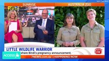 Robert Irwin Calls Pregnant Sister Bindi 'Massive' On Live TV