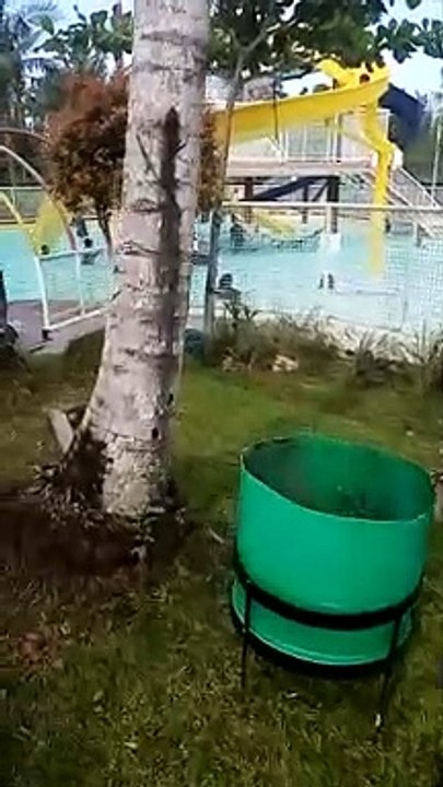 Swimming 02