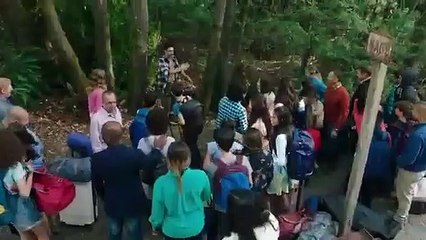 Upside Down Magic part 3