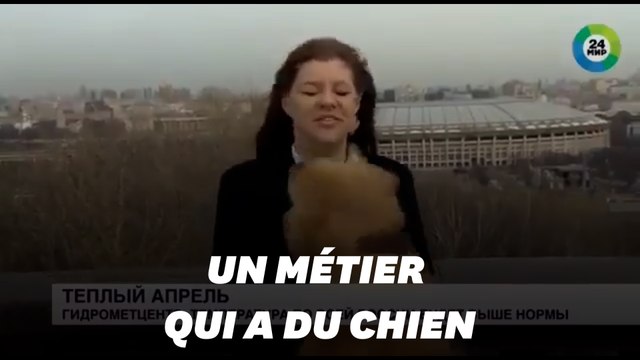 Tout est bien qui finit bien pour cette journaliste russe aux prises avec un chien