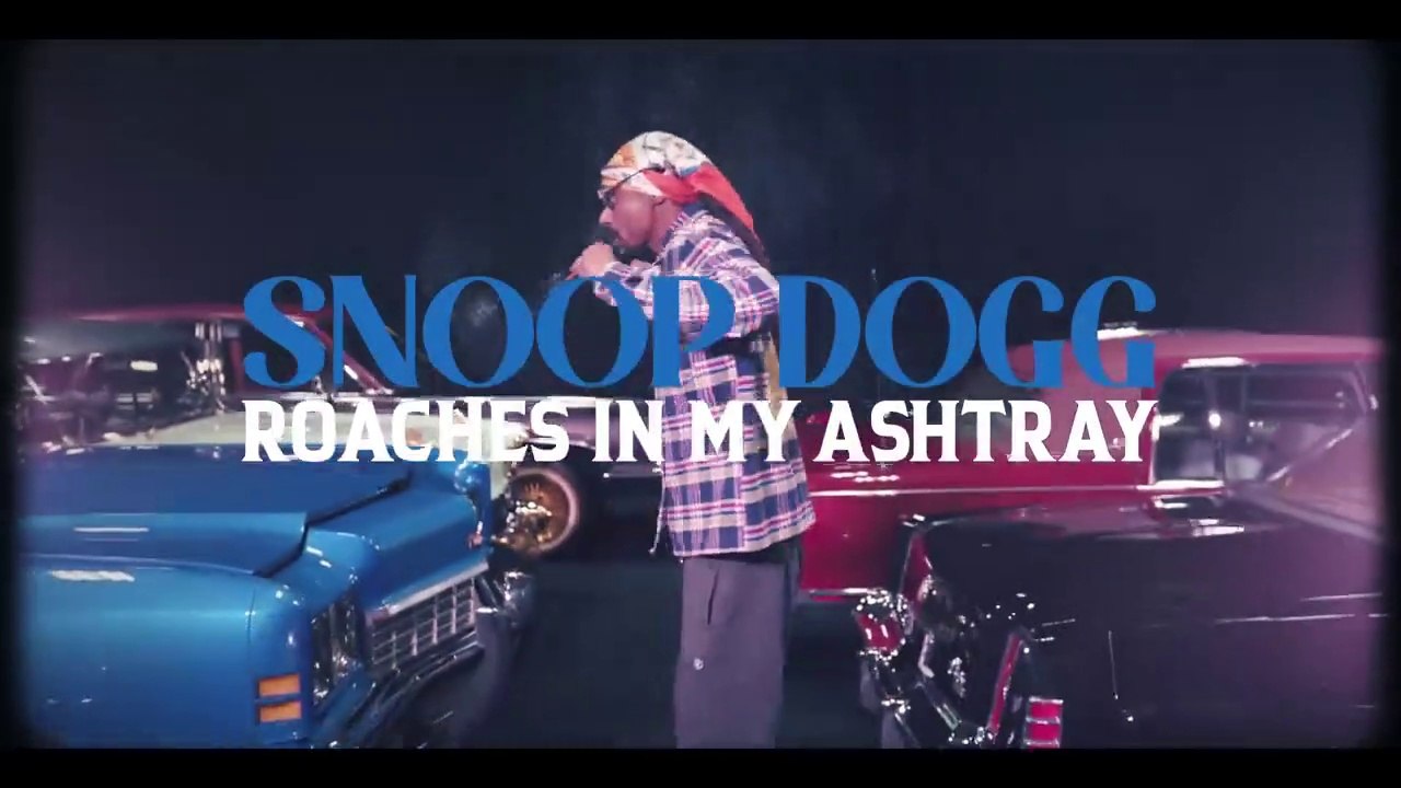 Snoop Dogg feat ProHoeZak "Roaches In My Ashtray"