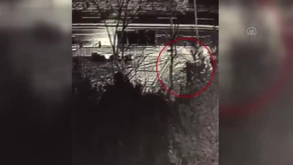 Son dakika haber... Üsküdar'daki ağaçları kestikleri gerekçesiyle 6 şüpheli gözaltına alındı