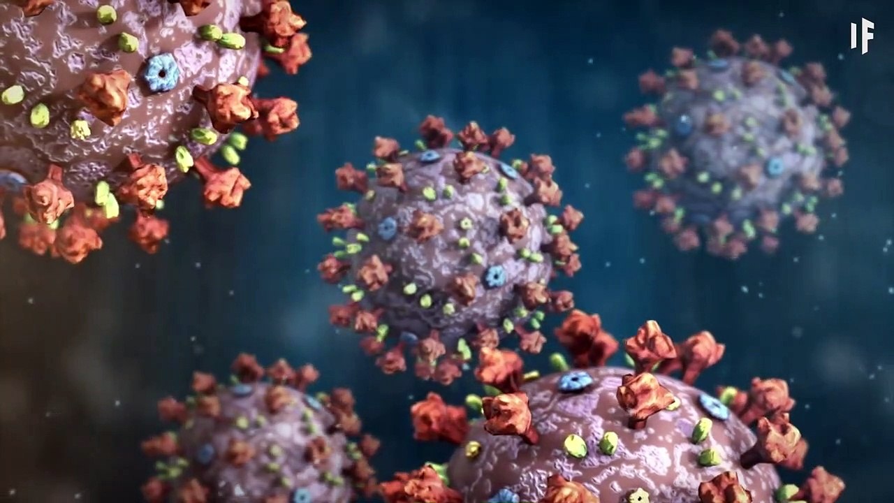 What Happens If You Caught The Coronavirus ?