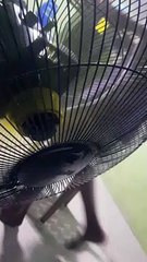 Para sa mainit na panahon