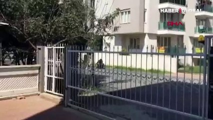 Antalya'da bir kadın yere yatırdığı erkeği darp etti