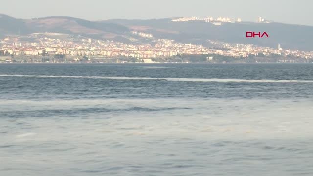 KOCAELİ İzmit Körfezi'nde deniz salyası alarmı