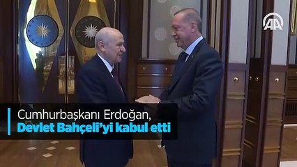Cumhurbaşkanı Erdoğan, Devlet Bahçeli'yi kabul etti