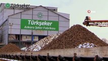 Türkşeker Ankara’da ilk serasını kurdu: İlk ürünler raflarda yerini aldı