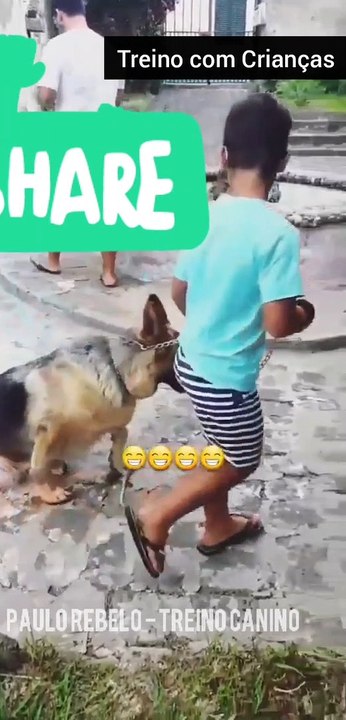 Treino Canino com Crianças