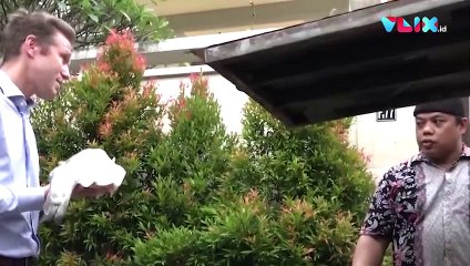 Begini Aksi Kocak Dubes Norwegia Makan Nasi goreng