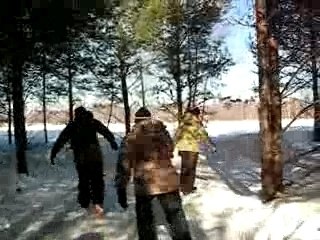 Domaine de la forêt perdue