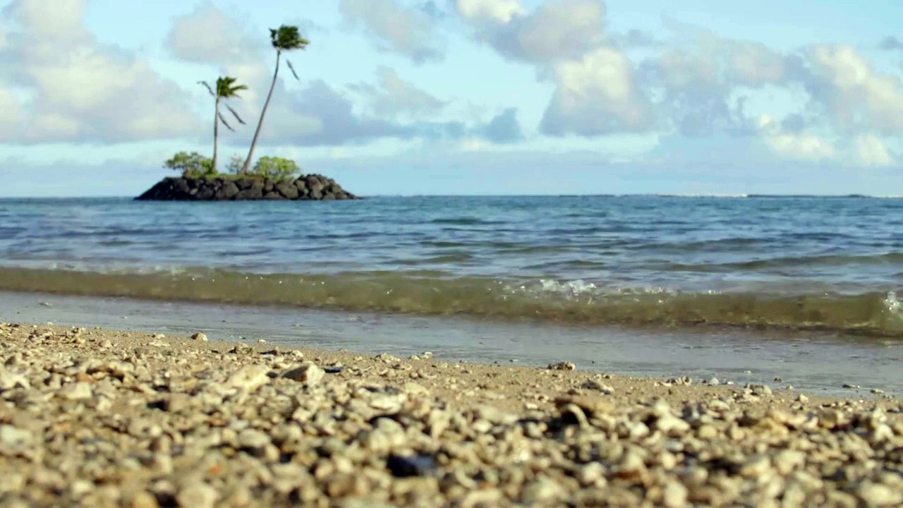 Listen to the ocean waves to sleep, relax, read, study, meditate, rest and yoga.